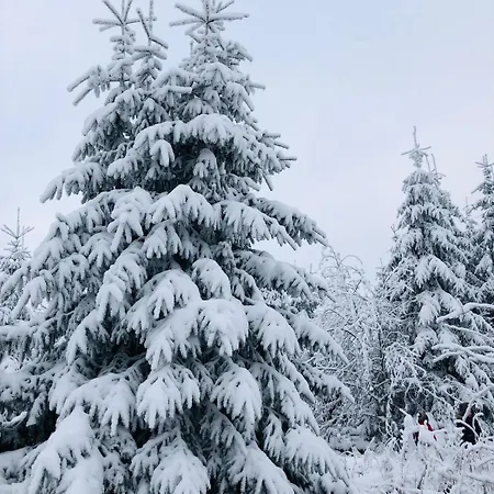 Semesterbostad Haus Astenblick Winterberg Appartments Mit Gastraum Weihnachtsfeier,Wanderveranstaltungen Und Familienfeiern Winterberg