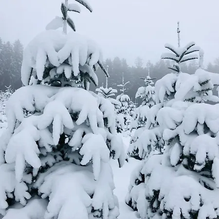 Semesterbostad Haus Astenblick Winterberg Appartments Mit Gastraum Weihnachtsfeier,Wanderveranstaltungen Und Familienfeiern