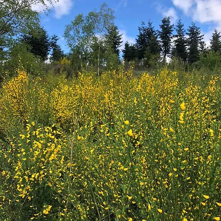 Будинок відпочинку Haus Astenblick In Mit Gastraum Wanderveranstaltungen Und Familienfeiern