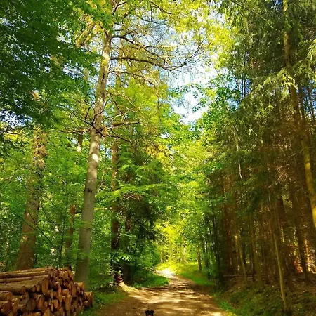 Haus Astenblick In Fuer Bis Zu 35 Personen Fuer Wanderveranstaltungen Und Familienfeiern Holiday home