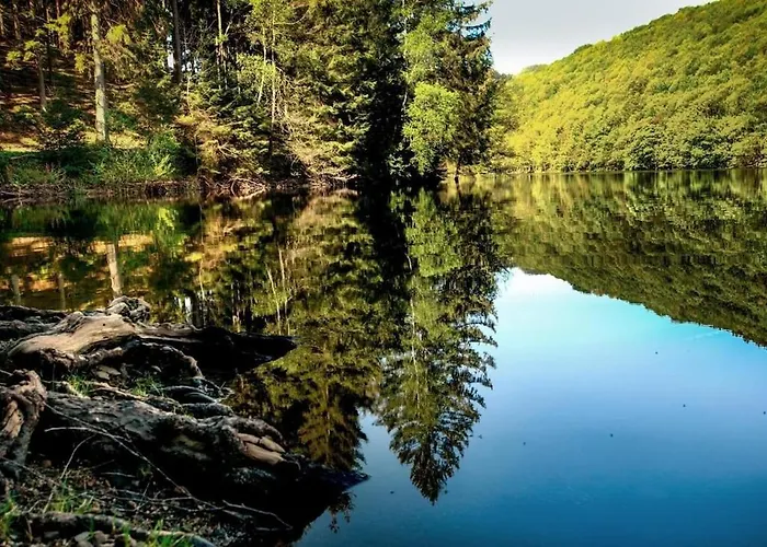 Haus Astenblick In Mit Gastraum Wanderveranstaltungen Und Familienfeiern * Винтерберг