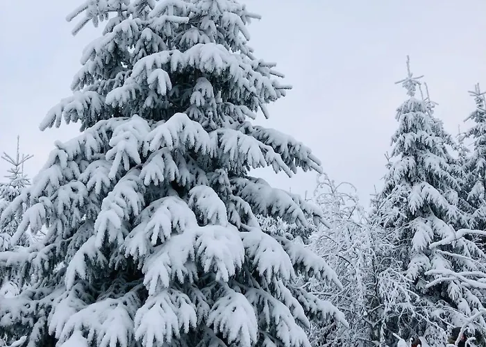 Semesterbostad Haus Astenblick In Mit Gastraum Wanderveranstaltungen Und Familienfeiern Winterberg
