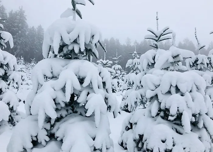 Semesterbostad Haus Astenblick In Mit Gastraum Wanderveranstaltungen Und Familienfeiern