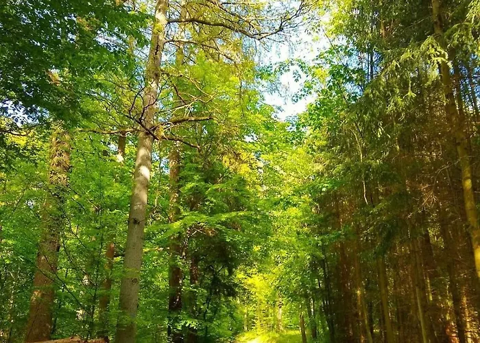 Haus Astenblick In Mit Gastraum Wanderveranstaltungen Und Familienfeiern Дом отдыха