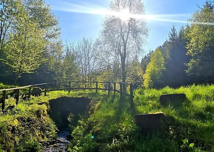 Дом отдыха Haus Astenblick In Mit Gastraum Wanderveranstaltungen Und Familienfeiern Винтерберг